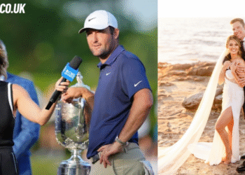 is amanda balionis still married