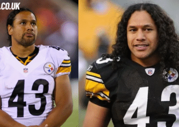 troy polamalu net worth