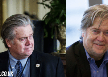steve bannon net worth