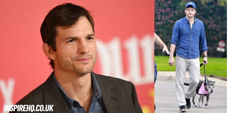 ashton kutcher net worth