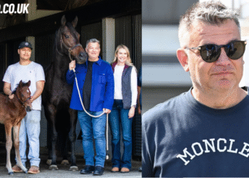 john stewart horse owner