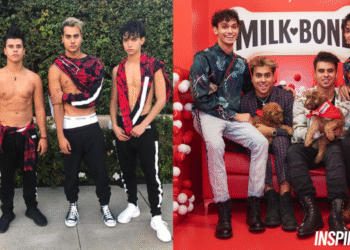 dobre brothers net worth