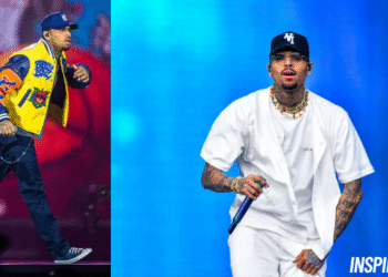 chris brown net worth