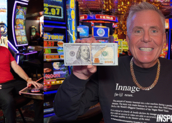 vegas matt net worth