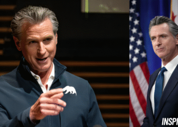 gavin newsom net worth