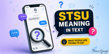 stsu meaning in text