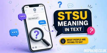 stsu meaning in text